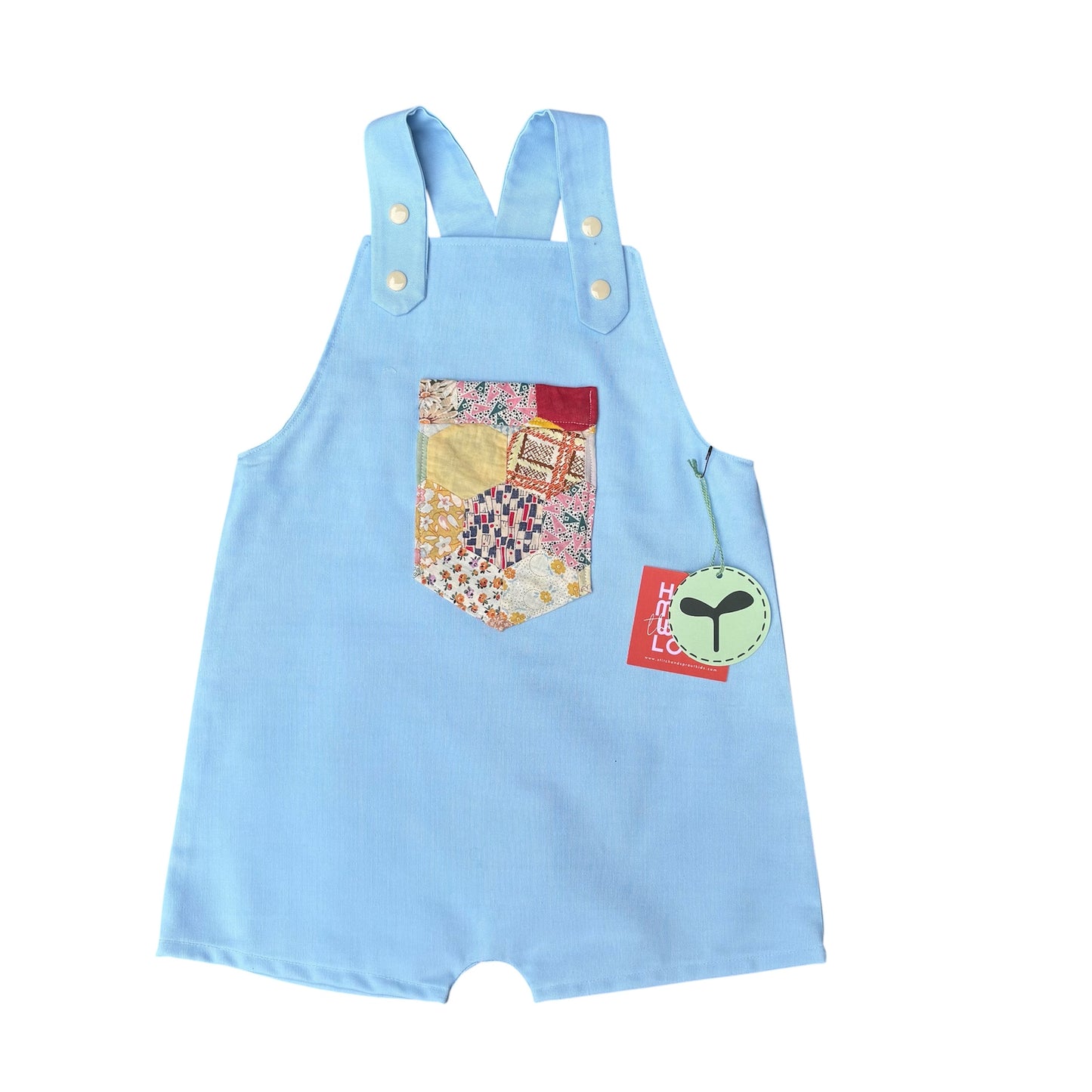 Forager Overall Blue Canvas Short