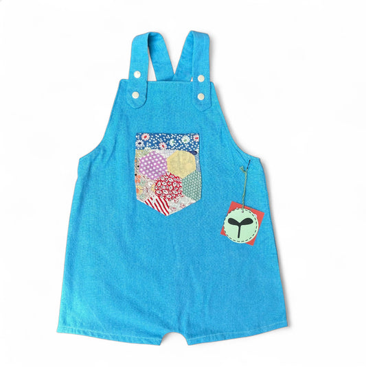 Forager Overall Short Breezy Blue